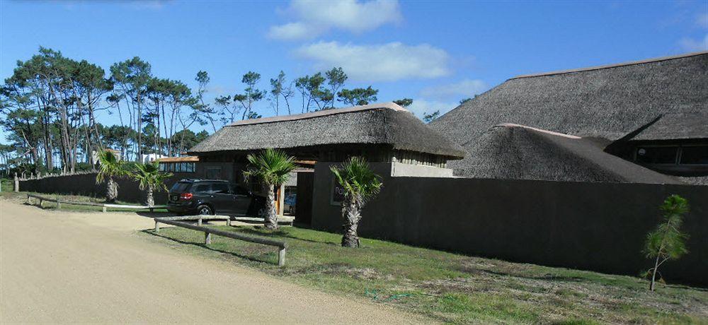 Punta Del Este Arenas Hotel Chihuahua Zewnętrze zdjęcie